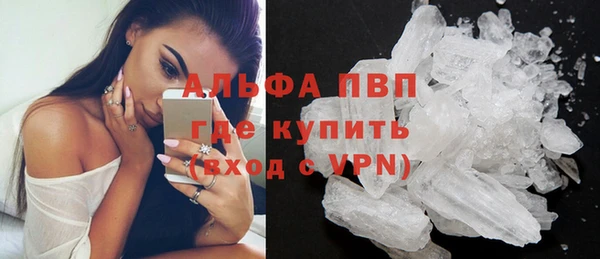 ECSTASY Богданович