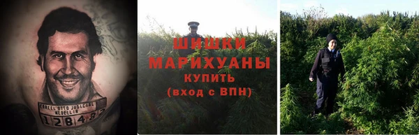 гашик Богородск