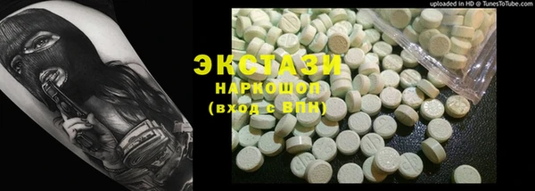 ECSTASY Богданович