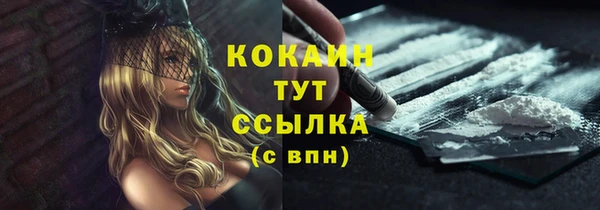 гидропоника Богородицк
