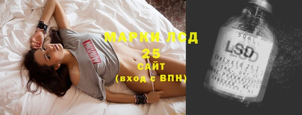 ECSTASY Богданович