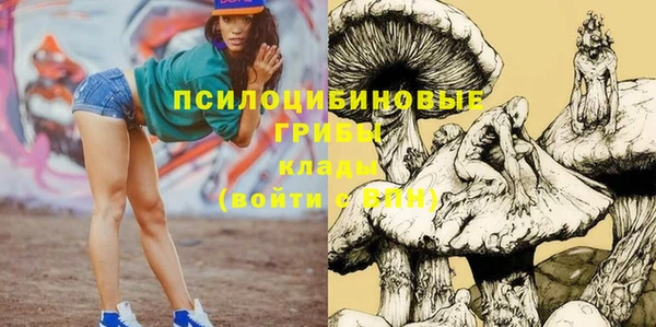 ECSTASY Богданович