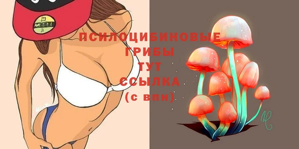 гашик Богородск