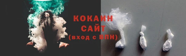 гашик Богородск