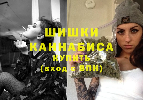 ECSTASY Богданович