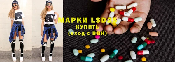 ECSTASY Богданович