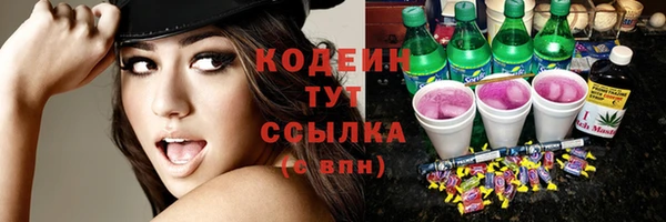 ECSTASY Богданович