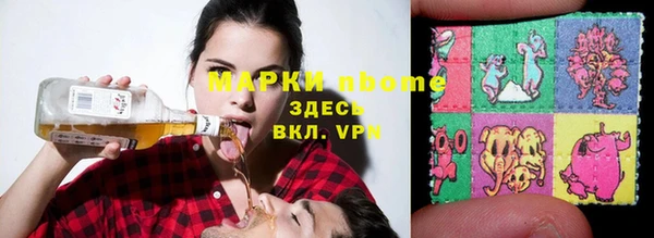 ECSTASY Богданович