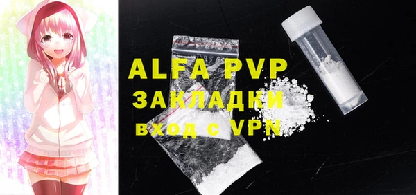 ECSTASY Богданович