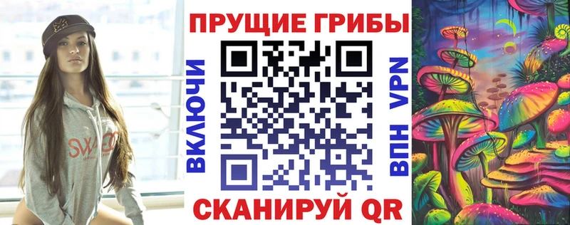 Купить закладки  Бологое  Псилоцибиновые грибы Magic Shrooms 